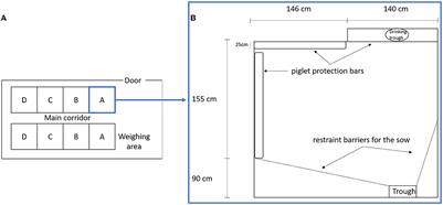 Analysis of image-based sow activity patterns reveals several associations with piglet survival and early growth